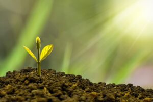 Therapy and Motherhood two paths that teach us how to care